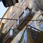 DSC00599-w740_h495